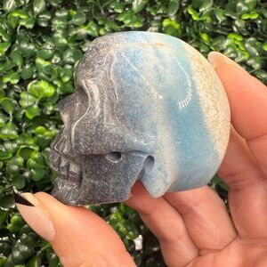 RARE Trolleite Skull Carving